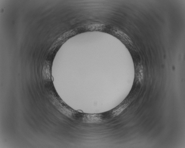 X0000081390622200702020257