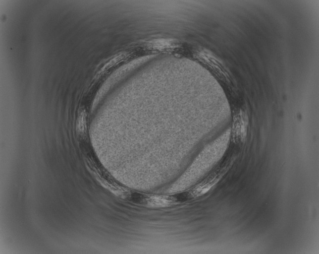 X0000081390623200702020257