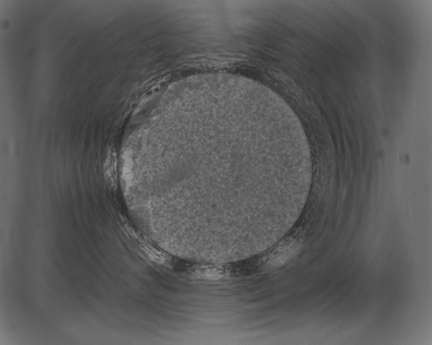 X0000081390624200702020257