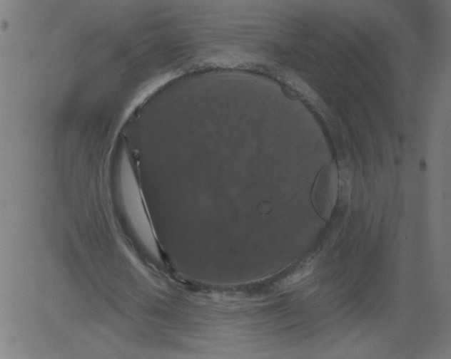 X0000081390626200702020256