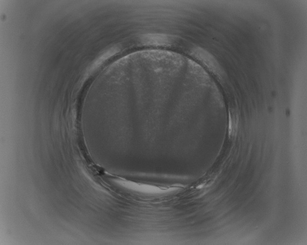 X0000081390627200702020256