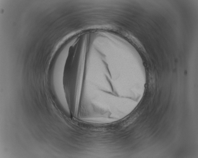 X0000081390628200702020256