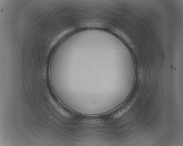 X0000081390629200702020256