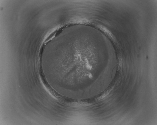 X0000081390630200702020256