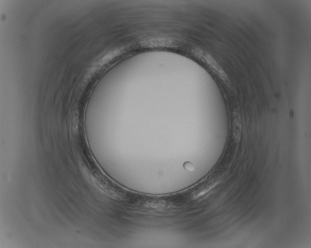 X0000081390631200702020256