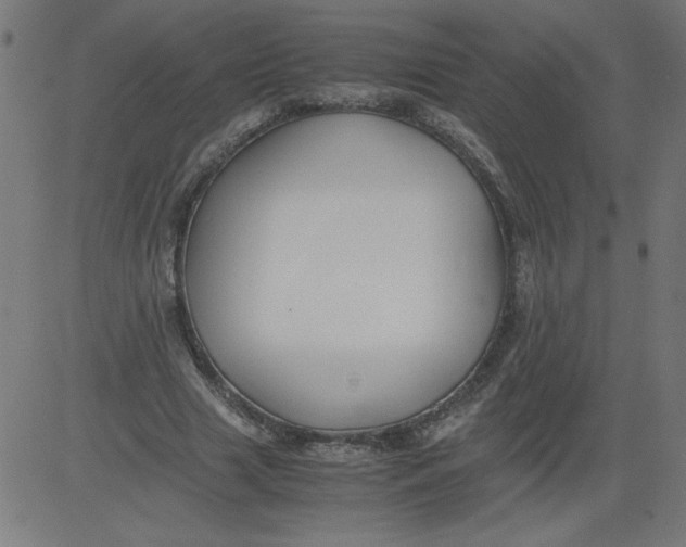 X0000081390633200702020256