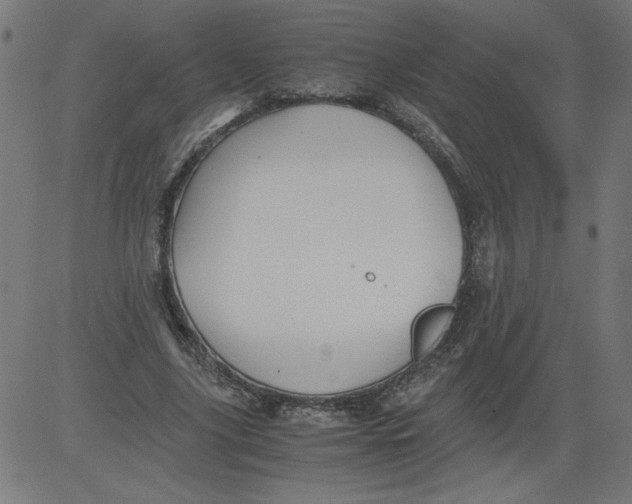 X0000081390635200702020256