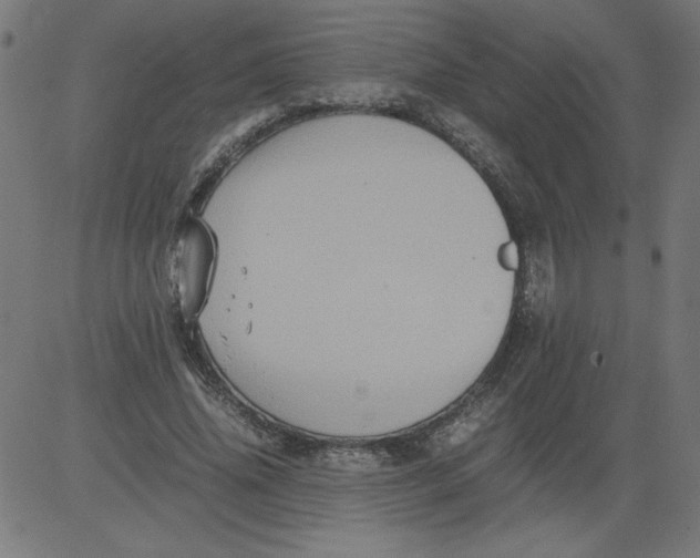 X0000081390636200702020256