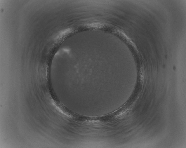 X0000081390637200702020256