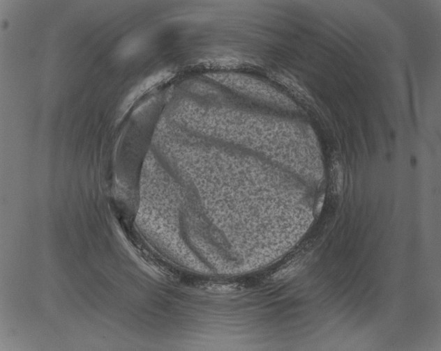 X0000081390638200702020256