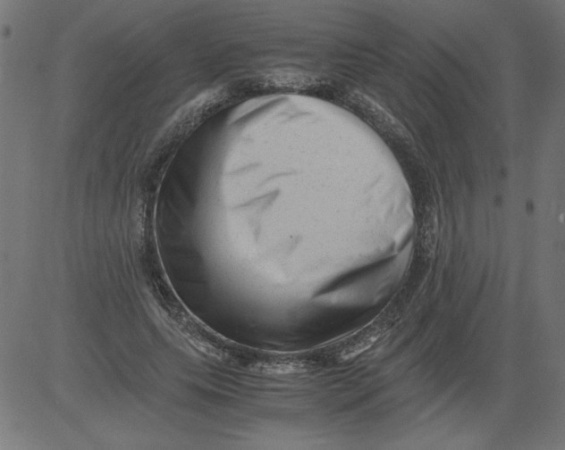 X0000081390639200702020256