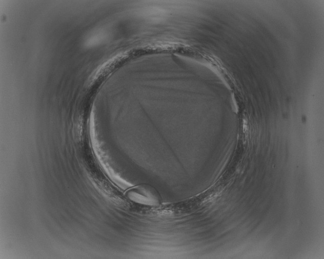 X0000081390640200702020256