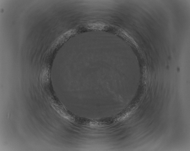 X0000081390641200702020256