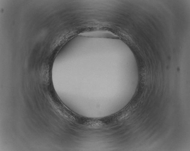 X0000081390642200702020256