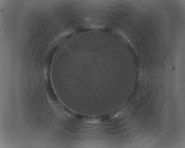 X0000081390643200702020256