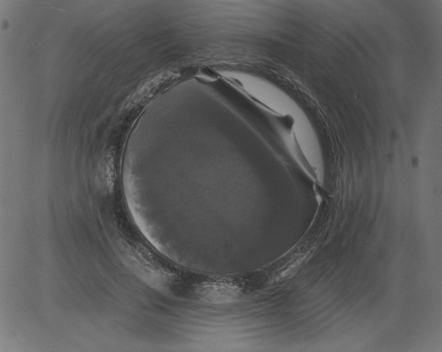 X0000081390644200702020256