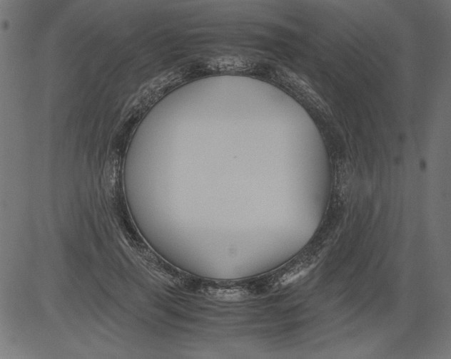 X0000081390645200702020256