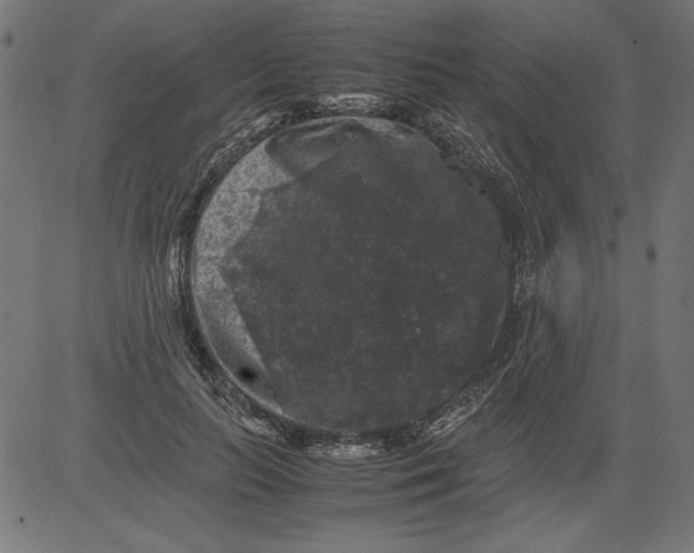 X0000081390647200702020256