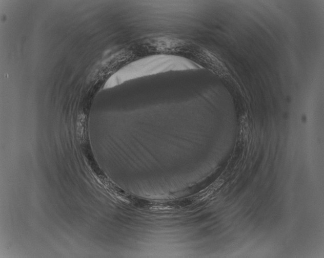 X0000081390650200702020256