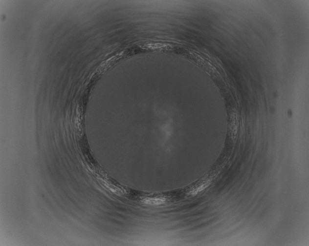 X0000081390653200702020256