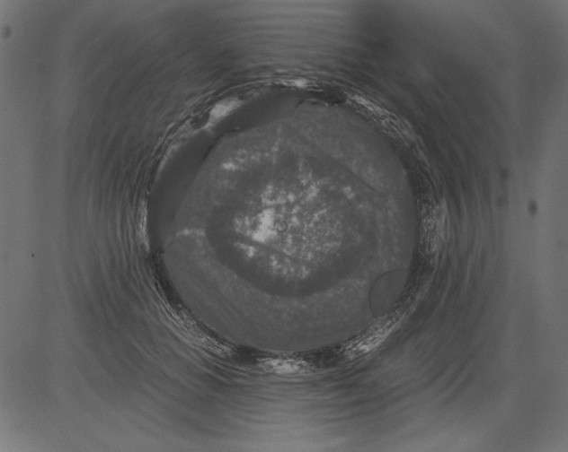 X0000081390654200702020256