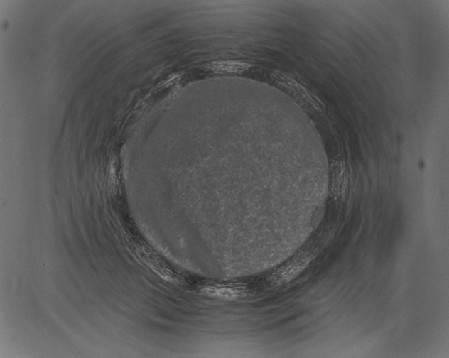 X0000081390655200702020256