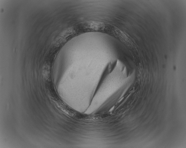 X0000081390656200702020256