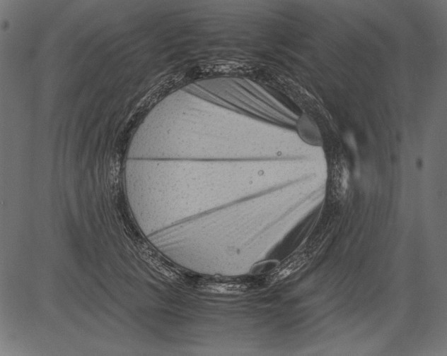 X0000081390657200702020256