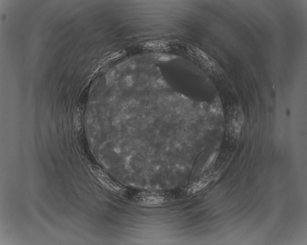 X0000081390658200702020256