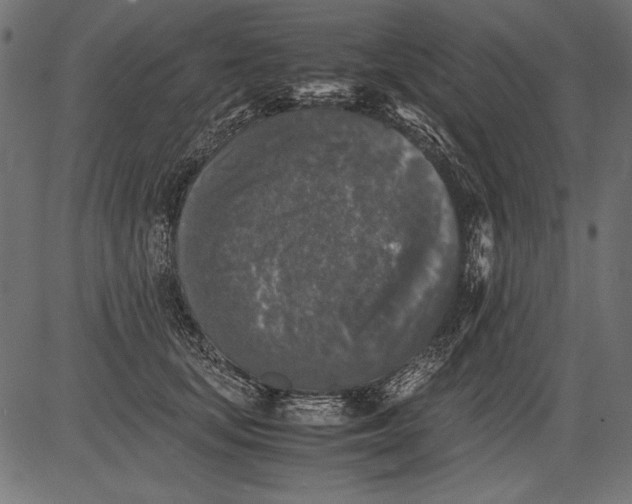 X0000081390659200702020256