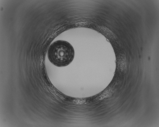 X0000081390660200702020256