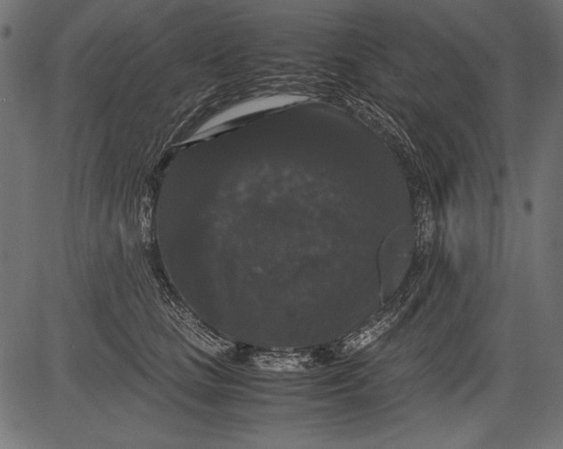 X0000081390661200702020256