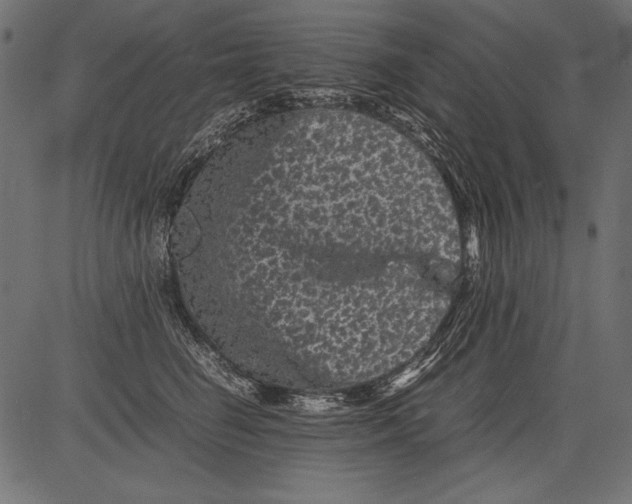 X0000081390662200702020256