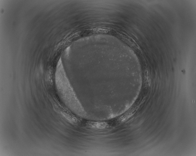 X0000081390663200702020256