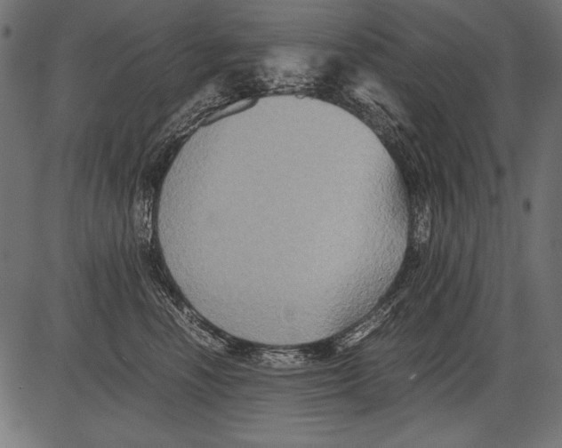 X0000081390666200702020257