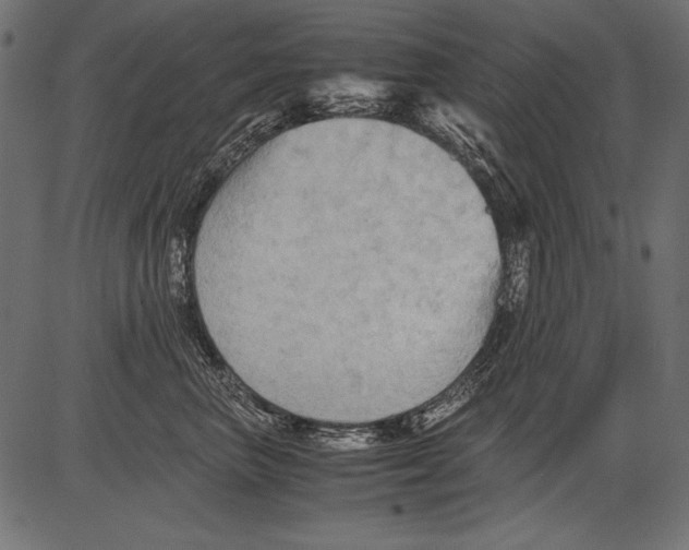 X0000081390667200702020257