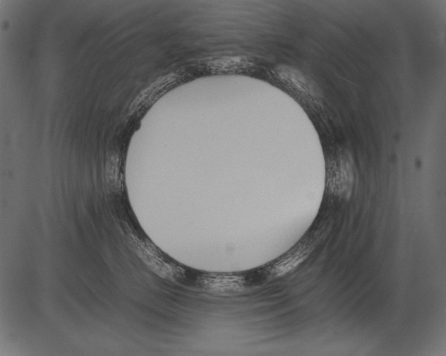 X0000081390670200702020257