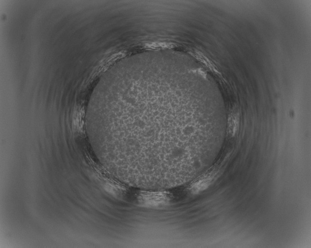 X0000081390671200702020257