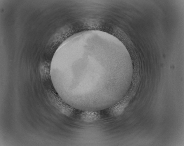 X0000081390672200702020257