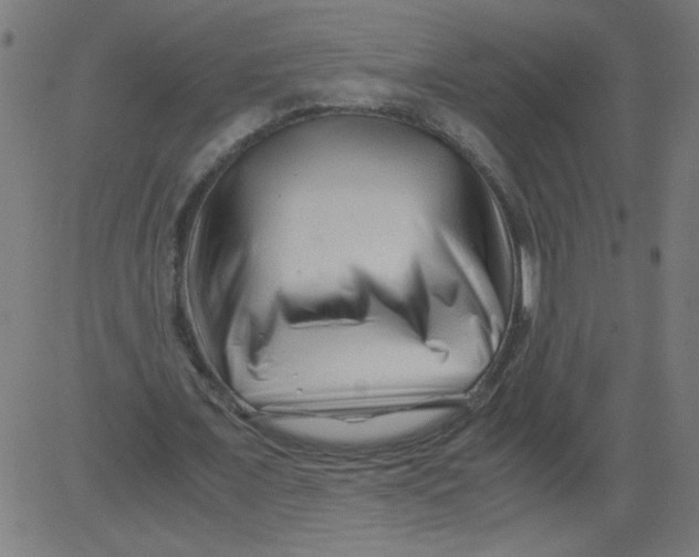 X0000081390675200702020256