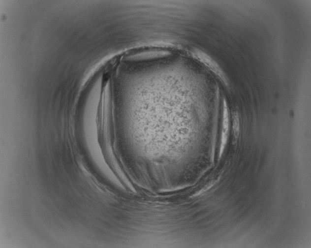 X0000081390676200702020256