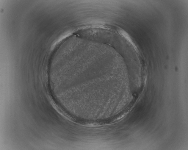 X0000081390677200702020256