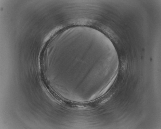 X0000081390678200702020256