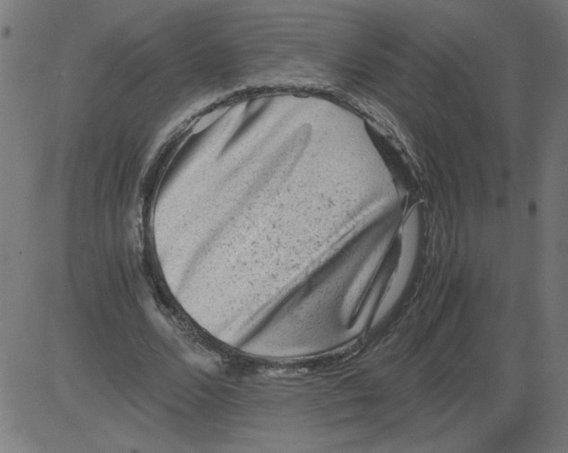 X0000081390680200702020256