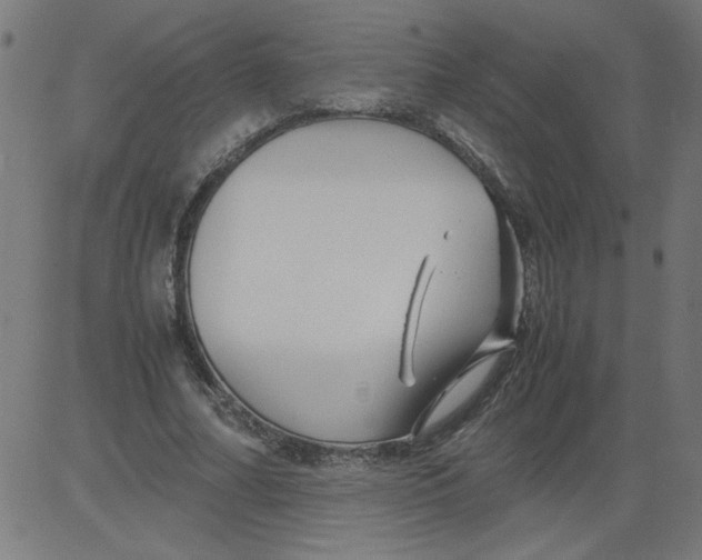 X0000081390682200702020256