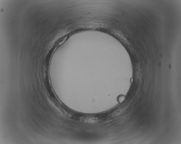 X0000081390683200702020256