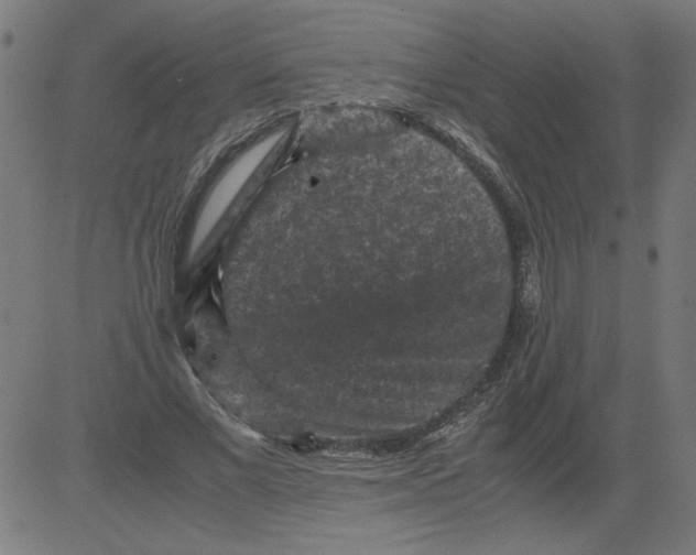 X0000081390685200702020256