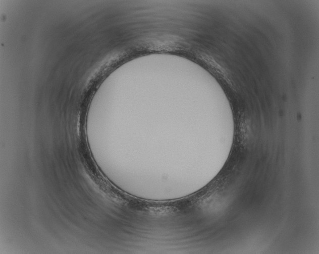 X0000081390686200702020256