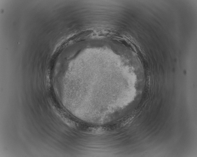 X0000081390688200702020256