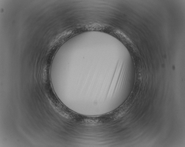 X0000081390690200702020256